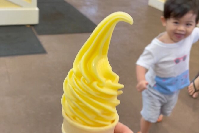 Oahu Guided Circle Island Tour, Swim w/ Turtles, Dole, Blowhole - North Shore lunch at Fumi’s Kahuku Shrimp and the Kahuku fruit stands