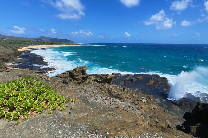 Oahu Island Experience feat the North Shore (Small Group Tour) - Kahuku Sugar Mill: The Lunch Window That Can Make or Break the Day