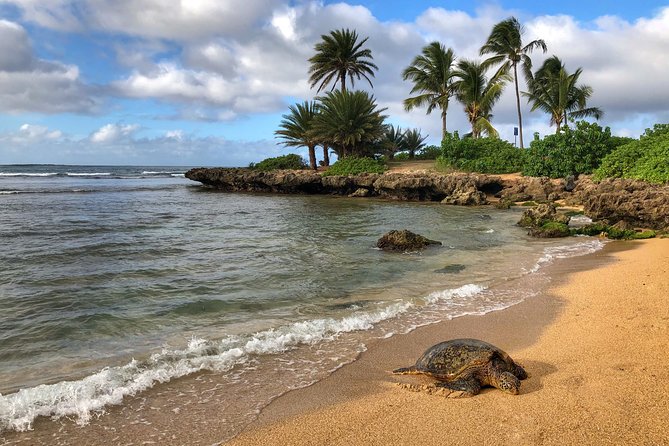 Oahu Island Photography Tour - Small-Group Comfort and Tripod Help: Why the Day Feels Personal