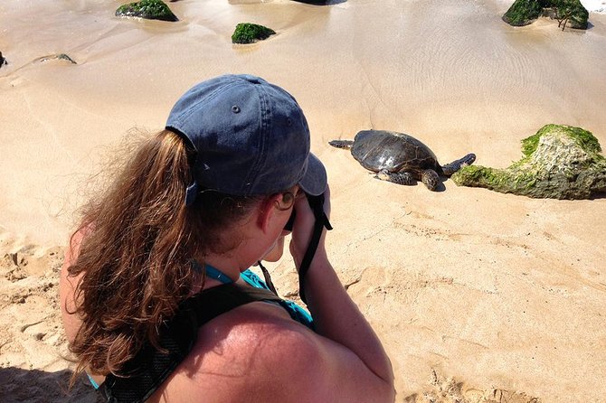 Oahu Island Photography Tour - Weather, Shoes, and Setting Realistic Expectations