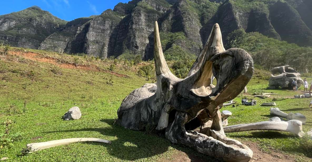 Oahu: Kualoa Movie Sites, Jungle, and Buffet Tour Package - Key highlights to know before you go