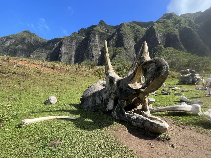 Oahu: Kualoa Movie Sites, Jungle, and Buffet Tour Package - The 7-hour format that makes this feel like a true Oahu day trip