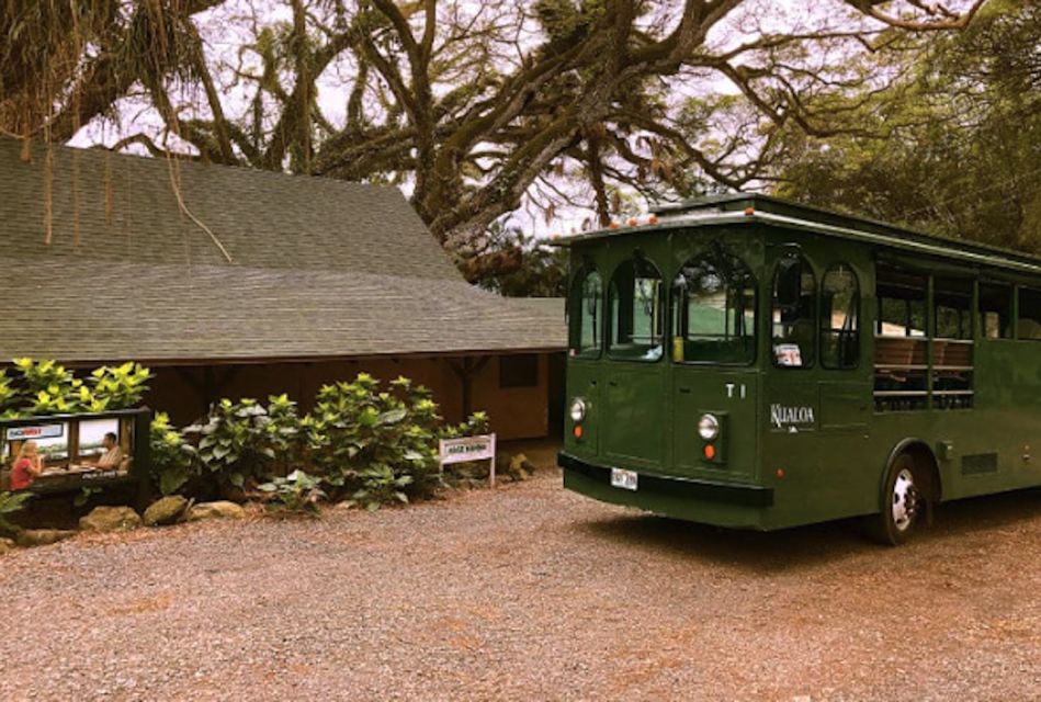 Oahu: Kualoa Movie Sites, Jungle, and Buffet Tour Package - The rainforest switch: Jungle Expedition in Hakipu’u (Jurassic World terrain)