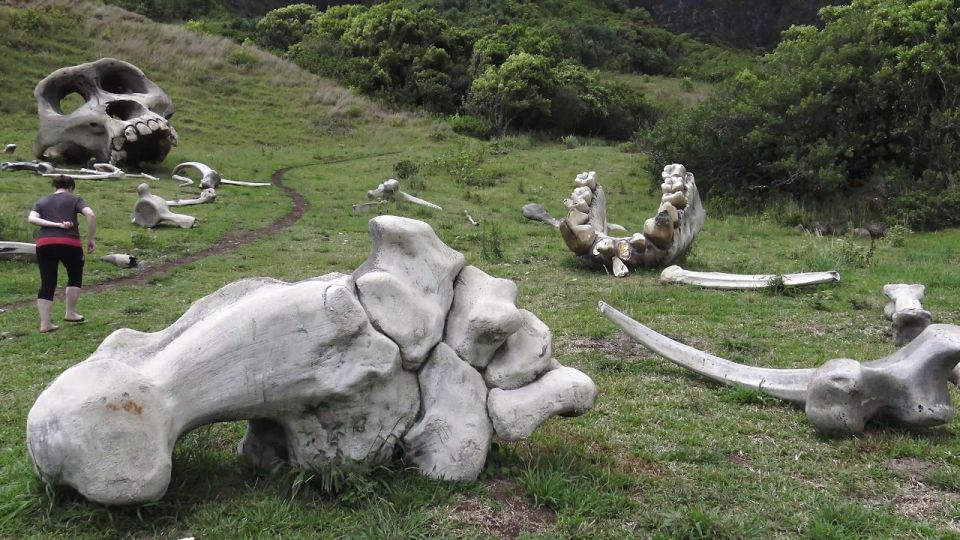Oahu: Kualoa Movie Sites, Jungle, and Buffet Tour Package - Price and value: is $173 a good deal for this combo?