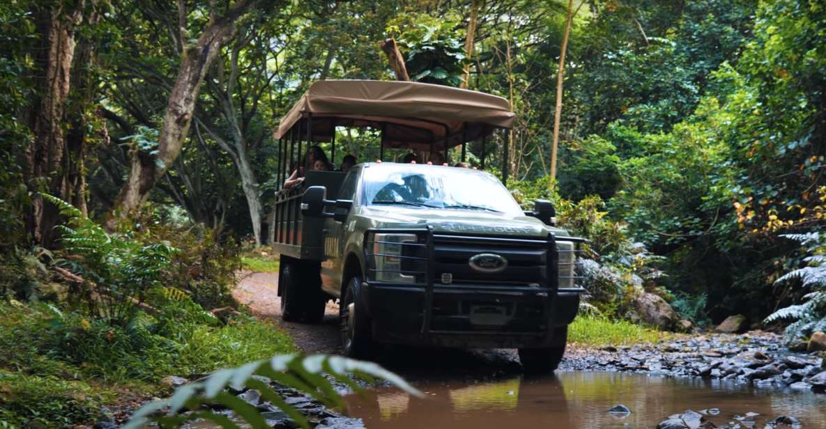 Oahu: Kualoa Open Air Jungle Expedition Tour - Your 90 minutes in motion: trails, stream beds, and panoramic stops