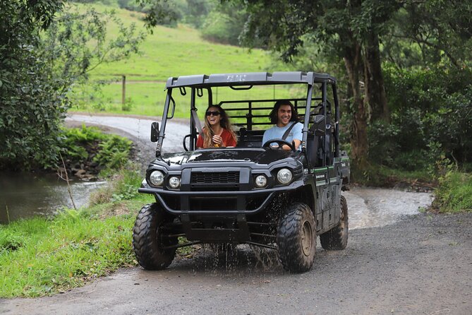 Oahu: Kualoa Ranch UTV Raptor Tour - Key things you’ll notice on the UTV Raptor Tour