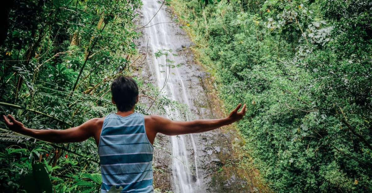 Oahu: Manoa Falls Waterfall Hike with Lunch and Transfers - Key takeaways before you go