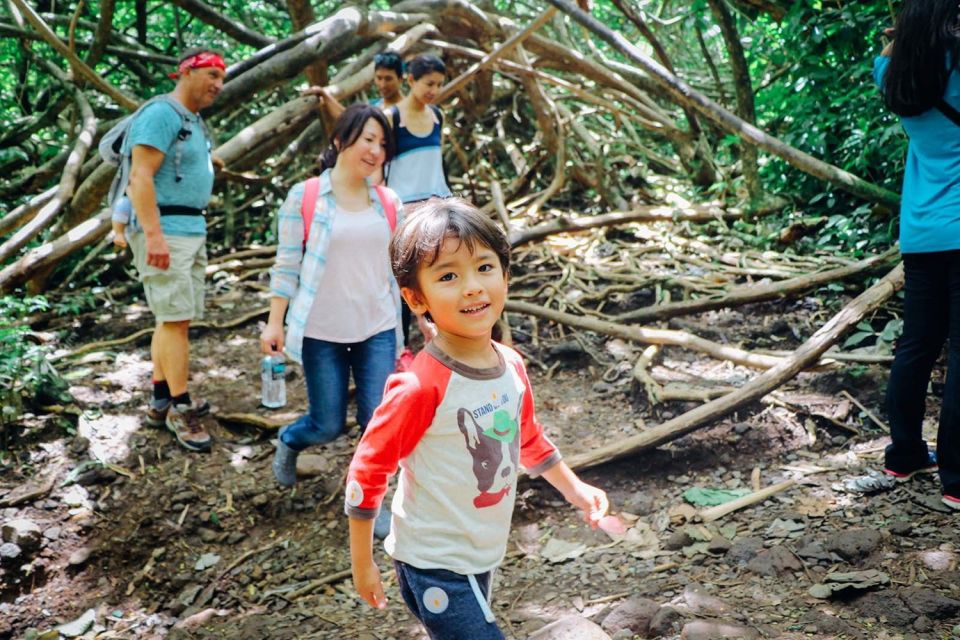 Oahu: Manoa Falls Waterfall Hike with Lunch and Transfers - Guides, Language, and the Value of Having a Real Local Story