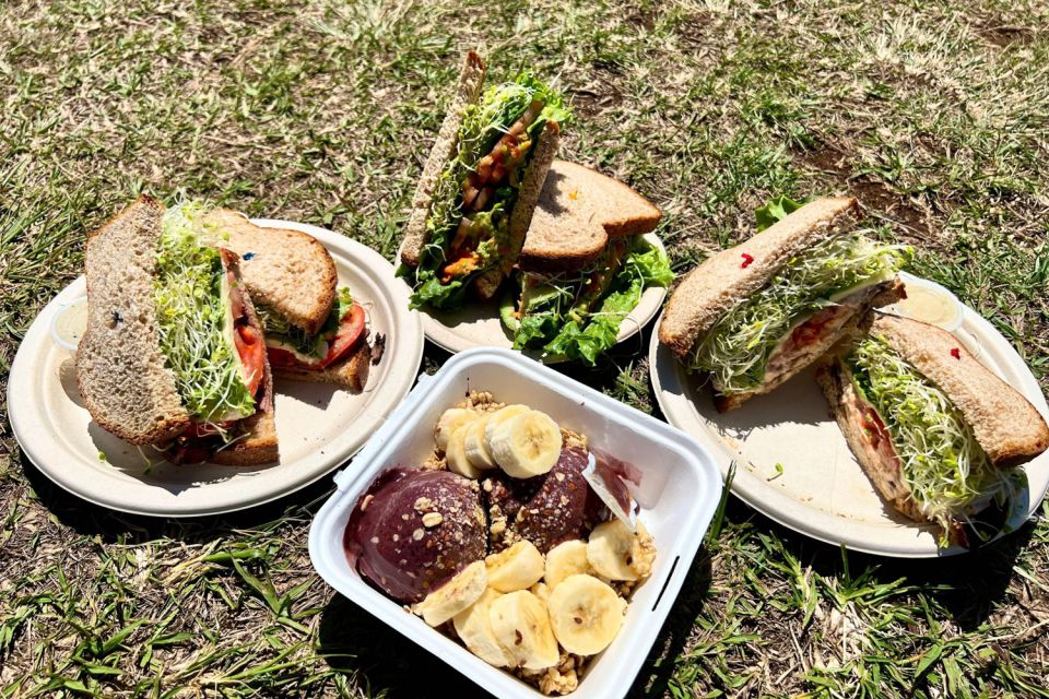 Oahu: Manoa Falls Waterfall Hike with Lunch and Transfers - The Manoa Valley Trail: What You’ll Actually See on the 1.6-Mile Walk