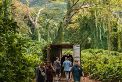 Oahu: Manoa Falls Waterfall Hike with Lunch and Transfers - Waikiki Transfers: The Convenience You’ll Feel Immediately