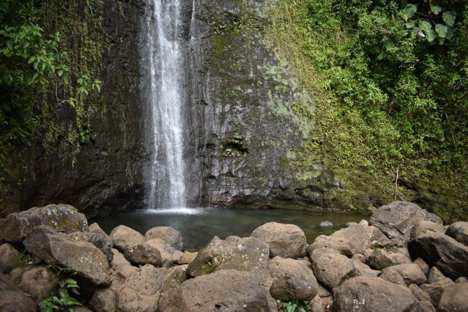 Oahu: Manoa Falls Waterfall Hike with Lunch and Transfers - Jurassic Park and Lost Filming Locations: Turning the Walk Into Context