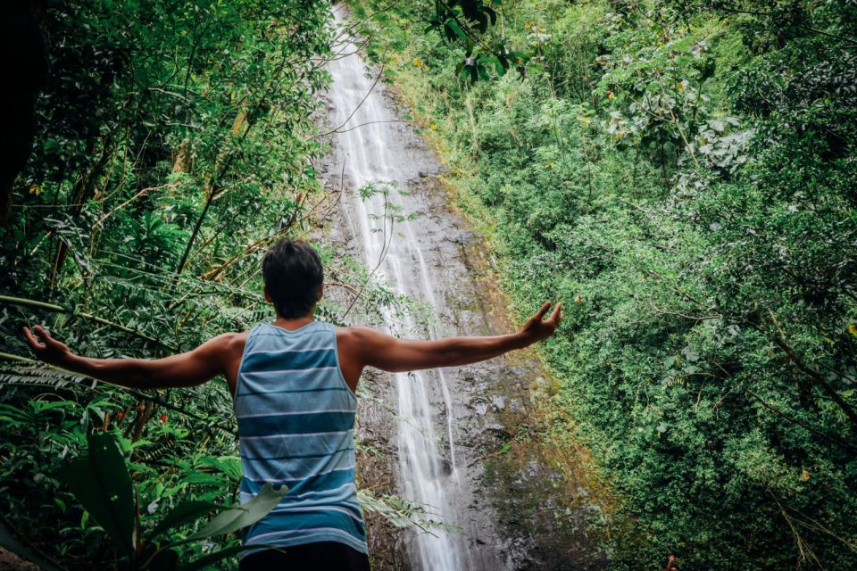 Oahu: Manoa Falls Waterfall Hike with Lunch and Transfers - Manoa Falls: The 150-Foot Moment (and How to Photograph It)
