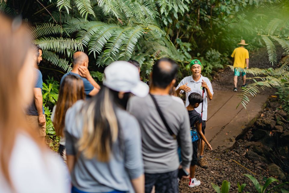 Oahu: Manoa Falls Waterfall Hike with Lunch and Transfers - What to Pack for Manoa Falls: Rain, Mud, and Insects