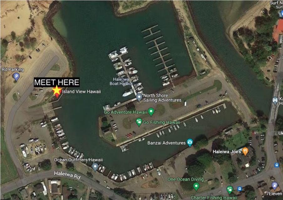 Oahu: North Shore Cageless Shark Snorkeling Tour - Who Should Book This Tour (and Who Might Pass)
