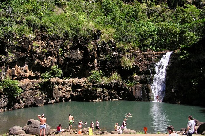 Oahu North Shore Experience: Activities, Waterfall & Free Time - Surf Bus to the North Shore: fast, scenic, and not stressful