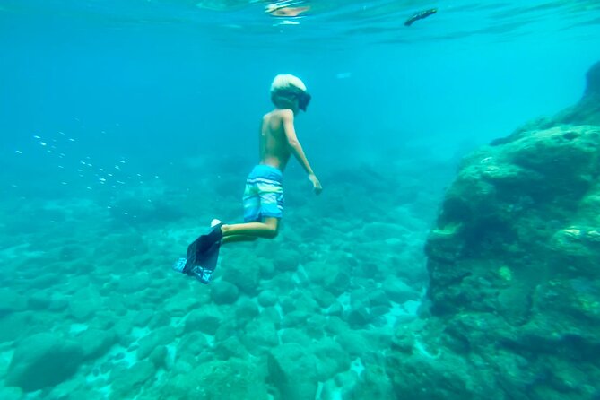 Oahu North Shore Experience: Activities, Waterfall & Free Time - Waimea Bay and the Waimea Valley area: pick your water plan