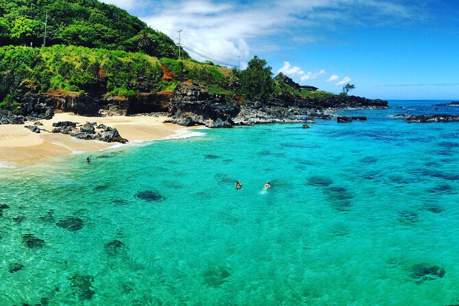 Oahu North Shore Experience: Activities, Waterfall & Free Time - Waimea Botanical Gardens: Polynesian plants and potential waterfall time