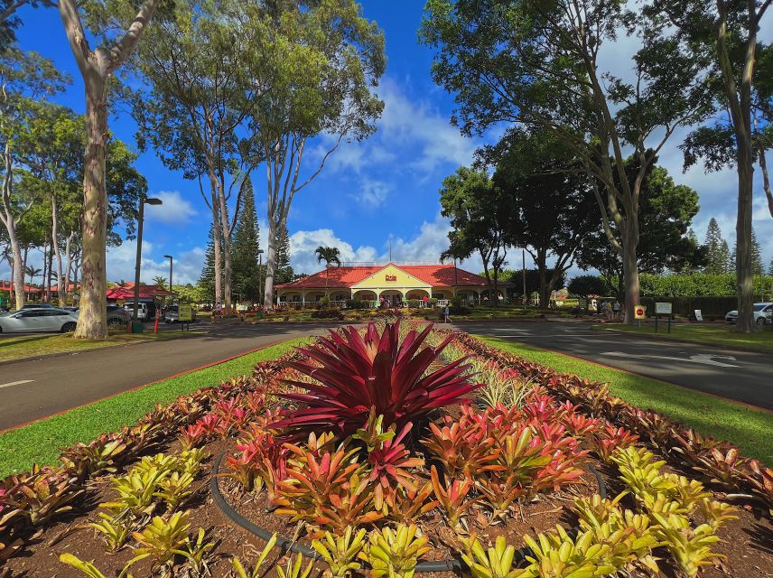 Oahu: North Shore Experience and Dole Plantation - Key things that make this tour worth your time