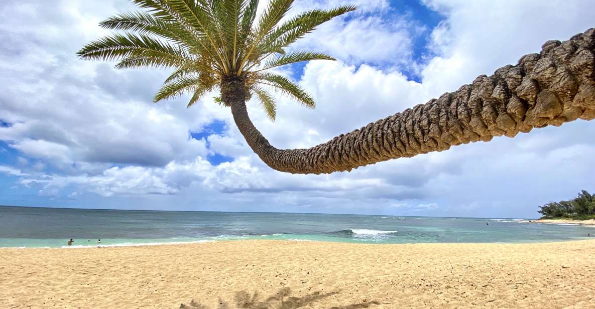 Oahu: North Shore Experience and Dole Plantation - Halona Blowhole and Cove: That Pacific Spray Moment