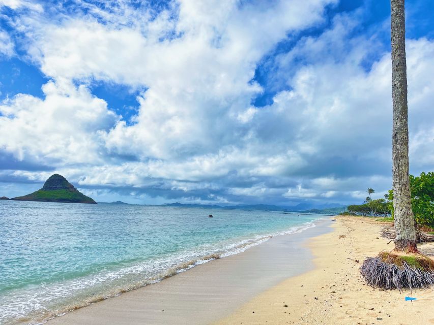 Oahu: North Shore Experience and Dole Plantation - Sunset Beach and Haleiwa Alii Beach: Surf Season, Photos, and Traffic