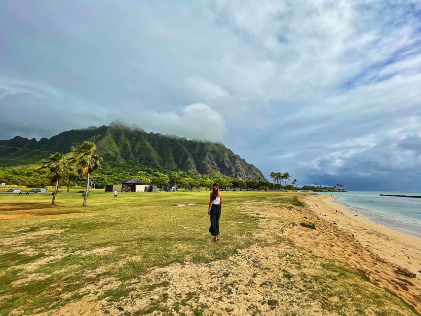 Oahu: North Shore Experience and Dole Plantation - Dole Plantation: Pineapple Whip and What You Might Not Get to Do