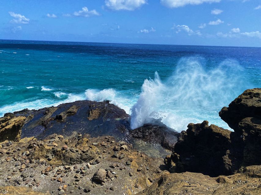 Oahu: North Shore Experience and Dole Plantation - Price and Value: Is $99 Worth It?