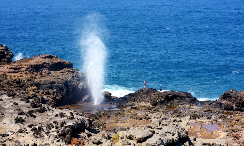Oahu: Oahu Ultimate Grand Circle Island Tour - Kahala Scenic Route to Makapu’u Point: houses, cliffs, and movie-history vibes