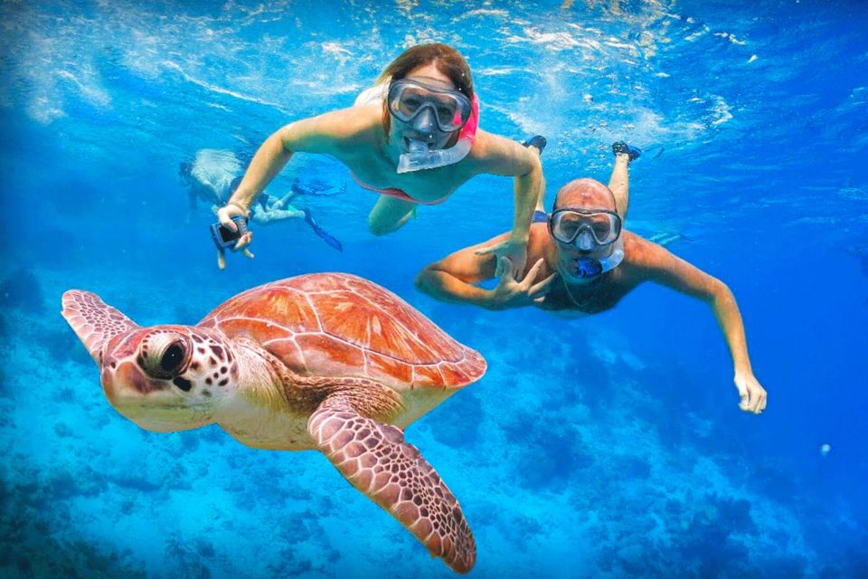 Oahu: Oahu Ultimate Grand Circle Island Tour - Price and value: is $84 really a smart deal?