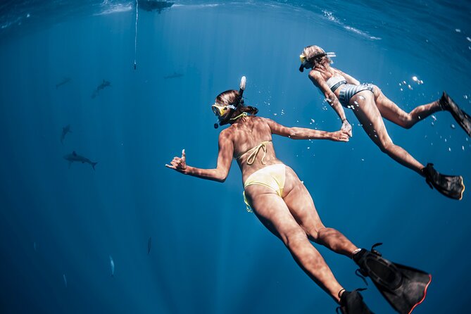 Oahu Open Water Shark Diving Experience - Your stops around Haleiwa, North Shore, Waimea Bay, and Pua’ena Point