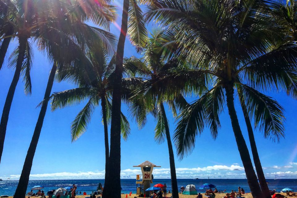 Oahu: Pearl Harbor and Honolulu City Tour - Key Points You’ll Actually Feel