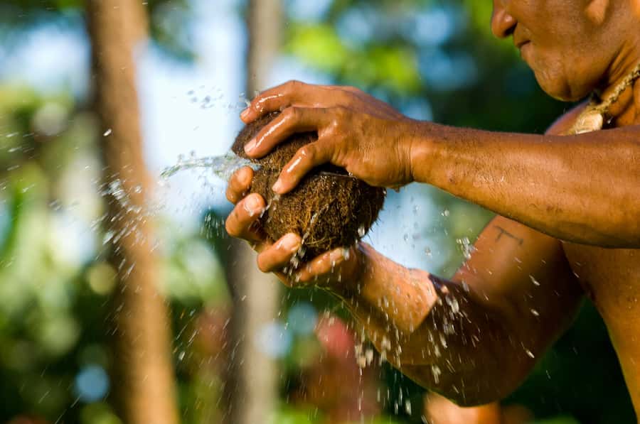 Oahu: Polynesian Cultural Center Island Villages Ticket - Island of Tahiti: fishing with a pole, spear throwing practice, and pearl-farm history