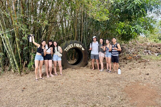 Oahu: Roundtrip Shuttle From Waikiki to Dole Plantation & Haleiwa - Who this shuttle suits best (and who might skip it)