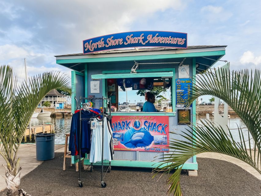 Oahu: Shark Cage Dive on the North Shore - The 90-Minute Schedule: Boat Ride Out, Briefing In, Cage Time On
