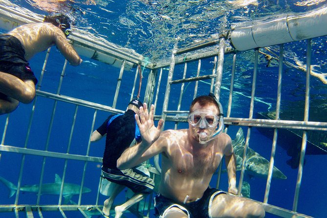 Oahu Shark Dive - The North Shore boat ride: where the trip starts