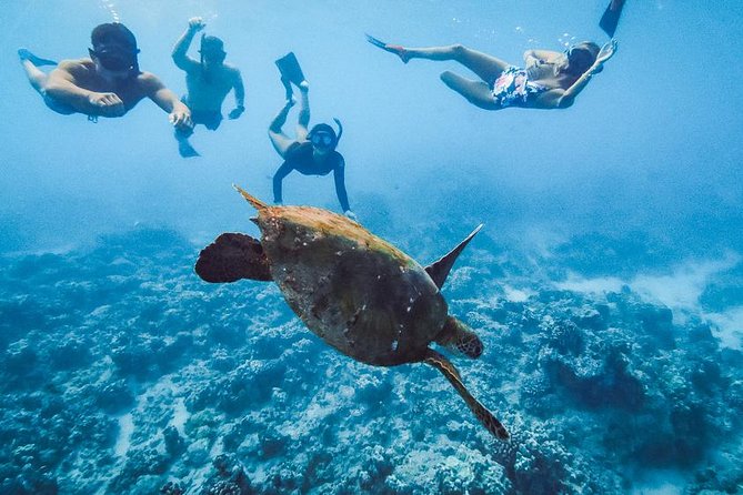 Oahu Small Group Snorkel Tour with Yacht Cruise - Price and Value: What $338.31 Is Buying You