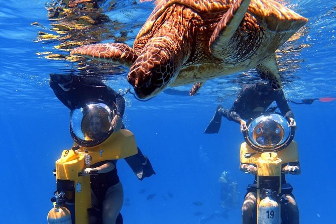 Oahu: Submarine Scooter Adventure - Key things I’d circle before you go