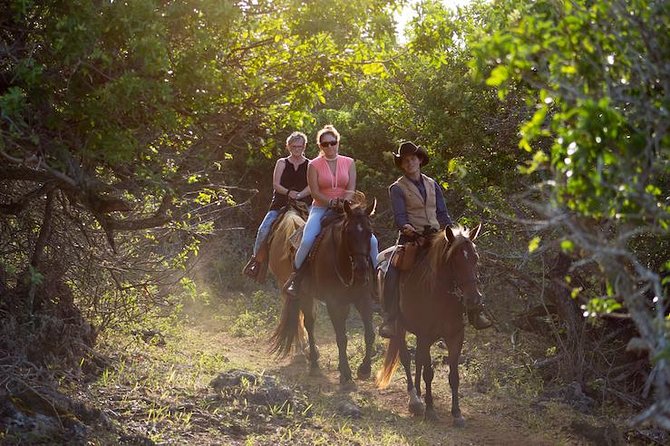 Oahu Sunset Horseback Ride - Key Details at a Glance