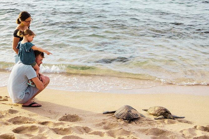 Oahu Ultimate Circle Island: 30 Spots, 10 Epic Stops - Tropical Farms (Macadamia) with Coffee Tasting and the Nut Crack Moment