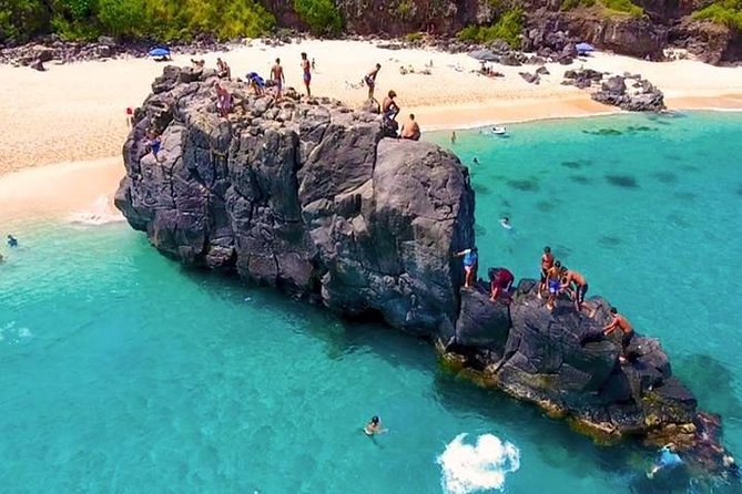 Oahu Ultimate Circle Island Tour Full Day Experience - North Shore: Sea Turtles, Turtle-Hunting Time, and Haleiwa Surf Culture
