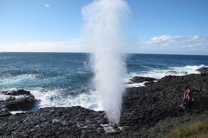 Oahu Ultimate Circle Island Tour Full Day Experience - Dole Plantation at the End: Maze Time, Dole Whip, and a Soft Landing Back to Waikiki