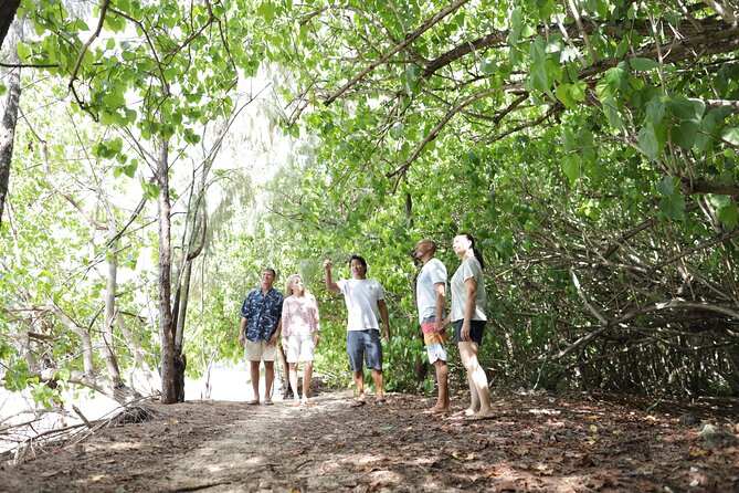 Oahu Uncovered: Full Island Tour with a Local Guide - Why this full-circle Oahu day is worth it