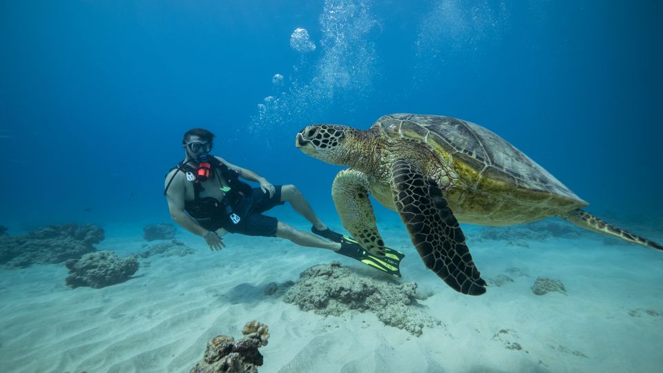Oahu: Waikiki Discovery Scuba Diving for Beginners - Why This Waikiki Reef Trip Works for First-Timers