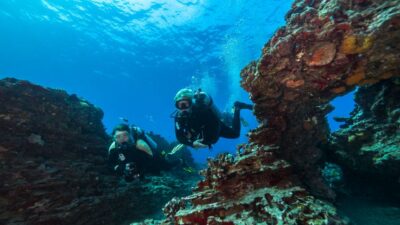 Oahu: Waikiki Discovery Scuba Diving for Beginners - The 3-Hour Rhythm: Boat Ride, Gear Fit, Skills Check, Reef Time