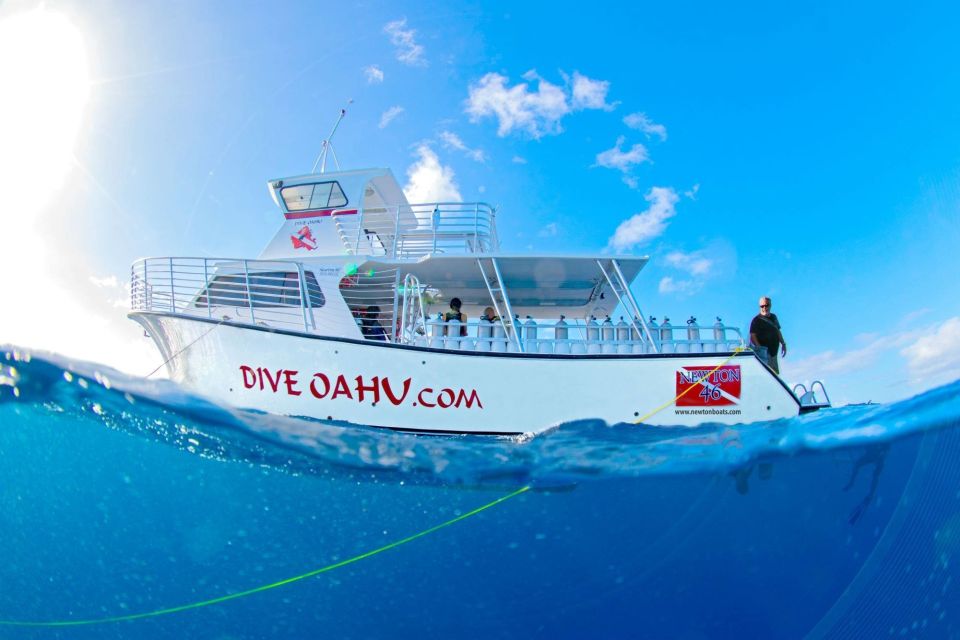 Oahu: Waikiki Discovery Scuba Diving for Beginners - Boat Comfort and Premier Gear: What Included Coverage Really Means