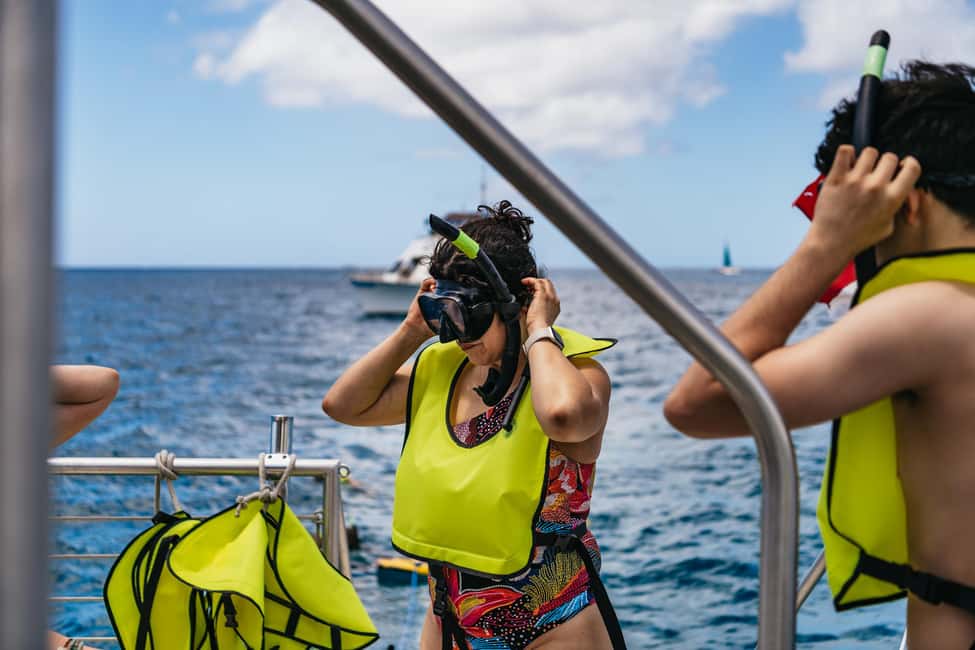 Oahu: Waikiki Snorkel and Sailing Trip with Lunch - Kewalo Basin Harbor and the Slip F28 Hunt