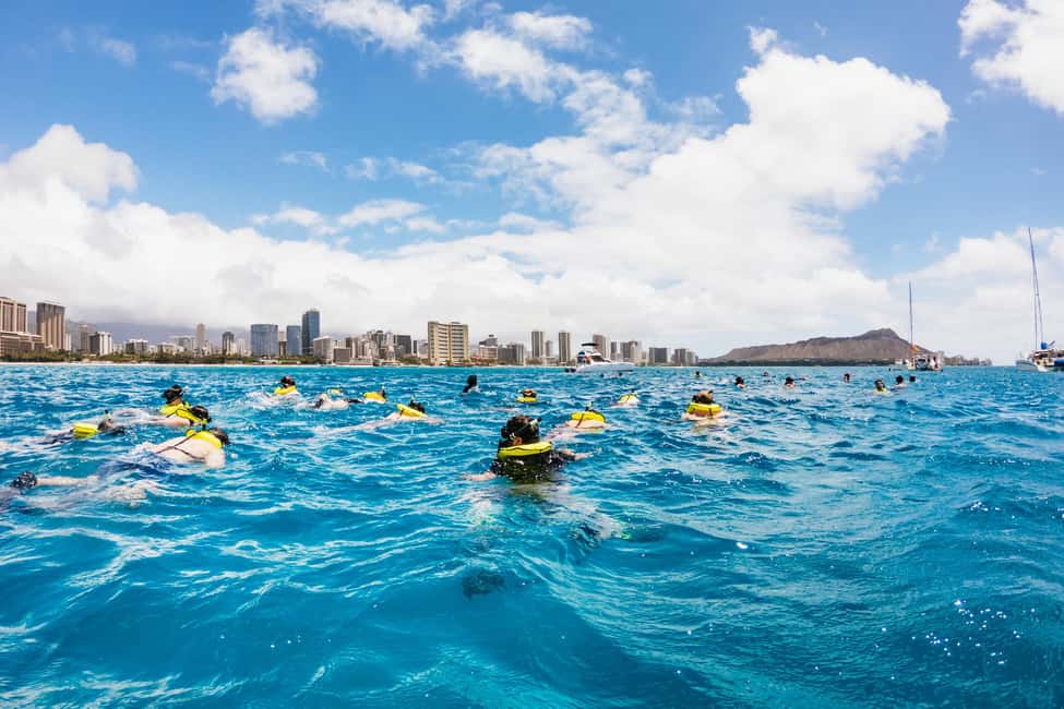 Oahu: Waikiki Snorkel and Sailing Trip with Lunch - Who This Trip Works Best For