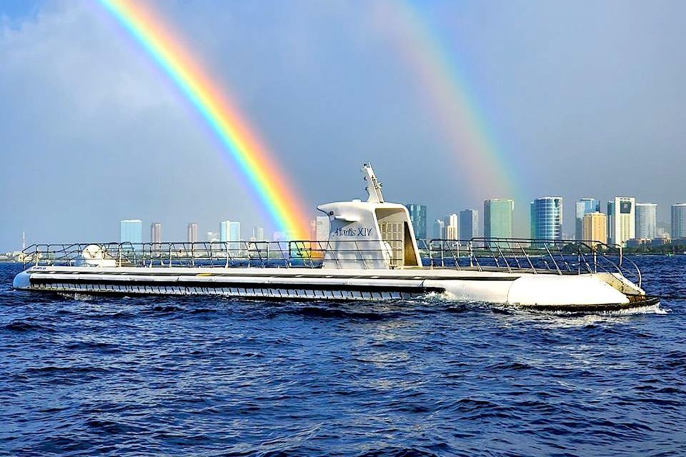 Oahu: Waikiki Submarine Tour - What you’ll see below: reef fish, coral, green sea turtles