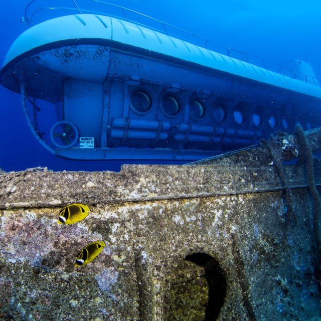 Oahu: Waikiki Submarine Tour - The shipwrecks and airplane wrecks: why the artificial reef part is so memorable