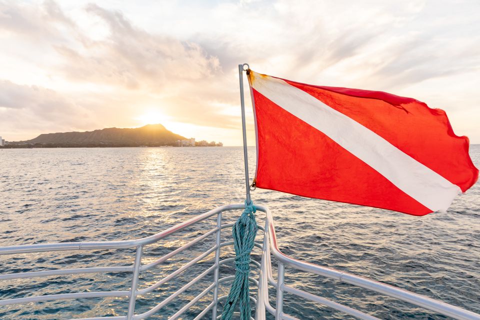 Oahu: Waikiki Turtle Canyons Cruise and Snorkel Excursion - Key things I’d zero in on before you go