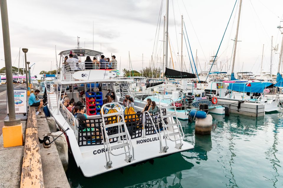 Oahu: Waikiki Turtle Canyons Cruise and Snorkel Excursion - Safety at the center: certified lifeguards and real supervision